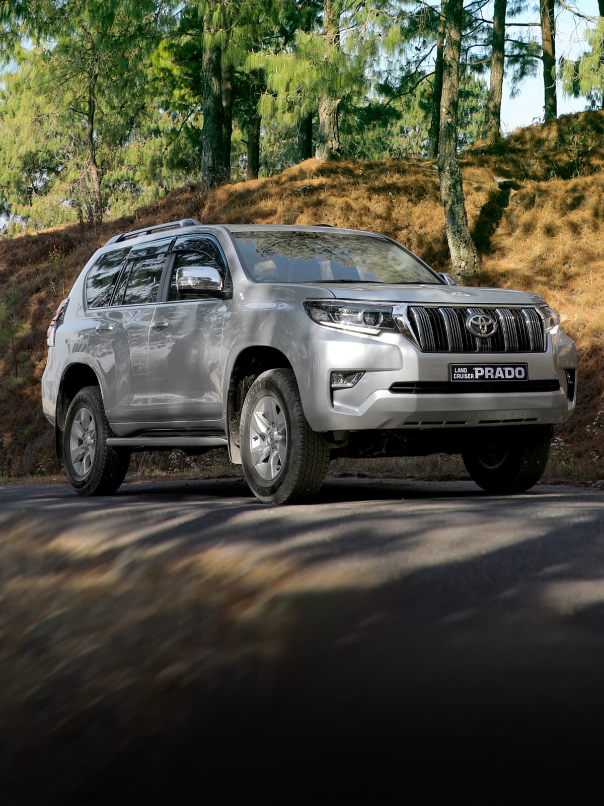 Toyota Land Cruiser Prado Style